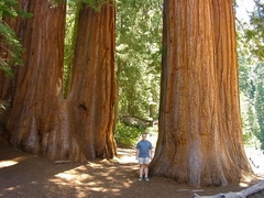 �������ݼtɼ����ҹ��@1