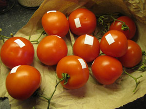 統(tǒng)一編號(hào)的西紅柿