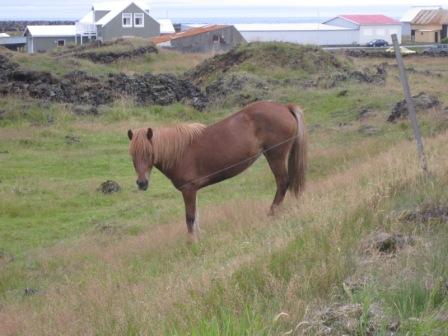 ���u���NС���R